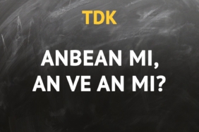 tdkya-gore-anbean-kelimesi-nasil-yazilir-an-ve-an-mi-anbean-mi-krae.jpg