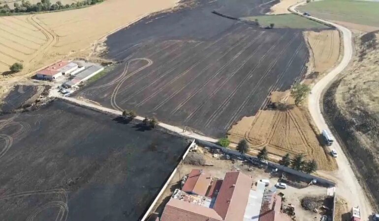 Tekirdağ’da 100 dönüm tarım arazisi yandı