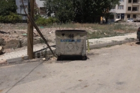 852jpg-D0G8K8bAck6sg3BRiJeiXQ.jpg