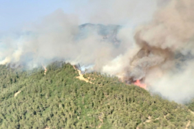 balikesirdeki-orman-yanginina-mudahale-suruyor-my2j.jpg