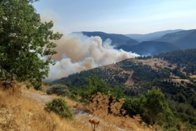 bursa-balikesir-sinirinda-orman-yangini-rkaw.jpg