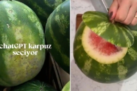 karpuzkapakjpg-io7XgqoM7EaUmmIIZs1llg.jpg