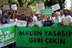 s1zeytineylem1jpg-GJkIUf2sekiyr3GrhmVwSw.jpg