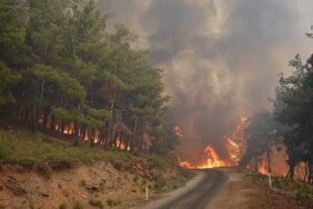 Son Bir Haftada 576 Orman Yangını Meydana Geldi