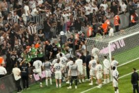 268jpg-sEyxb_GphEiJtP7OPf3x2Q.jpg