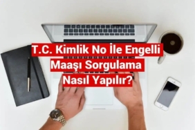 T.C. No ile Engelli Maaşı Sorgulama E-Devlet Sorgulama Ekranı