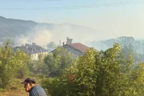 Bartın'da orman yangını