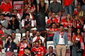 benfica-fenerbahce-maci-oncesinde-kartal-ucuruldu-svmc.jpg