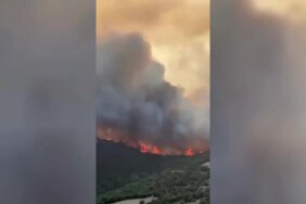 Bursa Yenişehir'de orman yangını