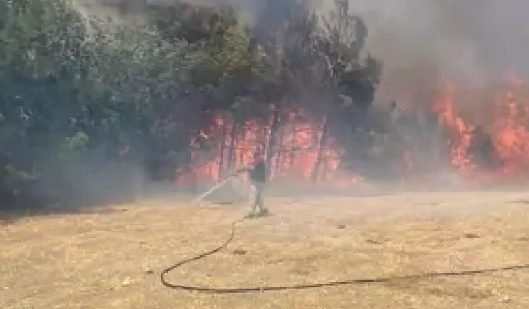 Çanakkale'de orman yangını yerleşim yerlerine sıçradı!
