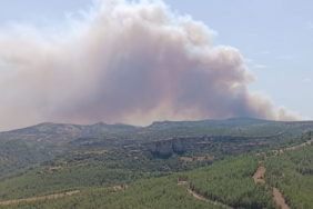 mersindeki-orman-yangini-2-gununde-dozg.jpg