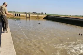 Sulama kanalına giren çocuk boğuldu