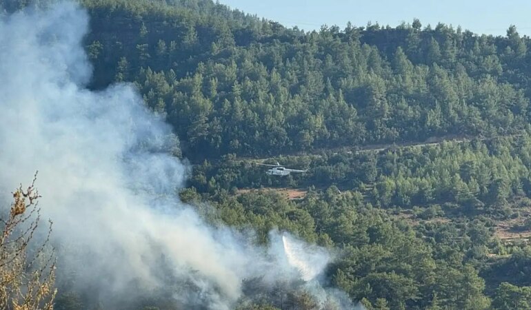 İzmir, Antalya ve Çanakkale alevlere teslim!