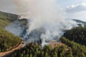 Kastamonu-Karabük sınırında ikinci orman yangını: Havadan ve karadan müdahale ediliyor