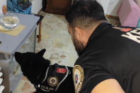 bakan-yerlikaya-aciklamisti-uyusturucu-operasyonunda-351-supheli-tutuklandi-mmxs.jpg