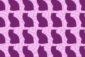 146-kisi-denedi-ama-sadece-1-kisi-cozdu-resimdeki-farkli-kedi-siluetini-6-saniyede-bulan-dahi-sayili.png