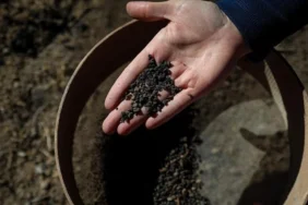 5000-year-old-carbonized-barley-grains-from-early-bronze-age-discovered-in-eastern-turkiye-111842-20.webp