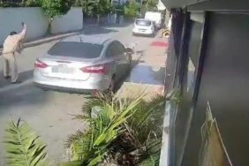 Köpeği silahla vuran emekli polis için 4 yıla kadar hapis talebi