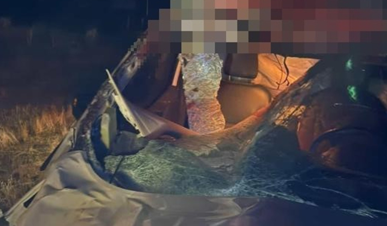Muş’ta hafif ticari araç ata çarptı: 2 yaralı
