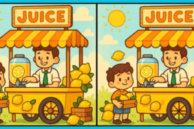 standa-limon-kasasi-tasiyan-iki-cocuk-arasindaki-3-farki-sadece-yuksek-iqsu-olanlar-12-saniyede-bulu.jpeg
