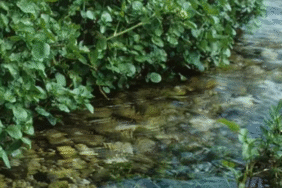 tereeeepng-BDwPB80tl064EBgXKz417Q.png