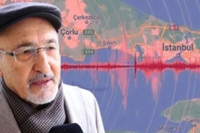 263jpg-5TFZqZU2nUanFpavlYke5w.jpg