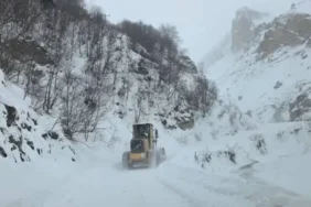 Artvin'de çığ düştü 3 çoban çığ altında