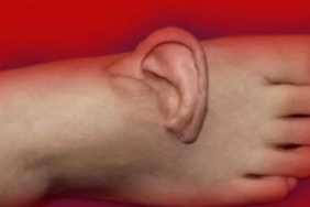 ayakpng-zBZ2e9E7akmdIqW2st2CAg.png
