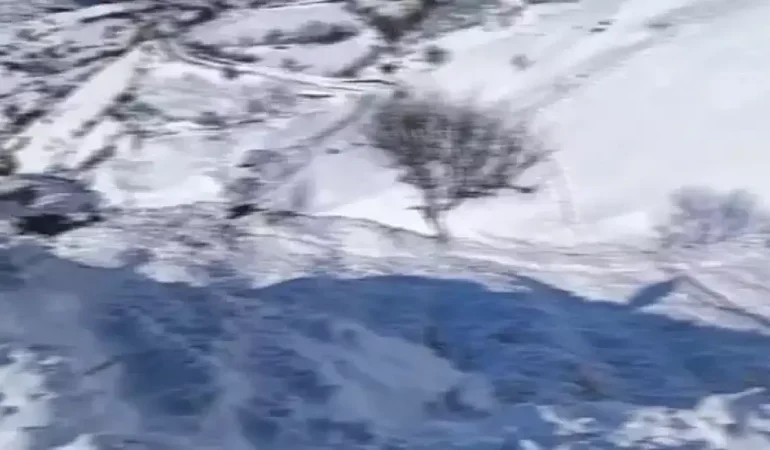 Hayvanlarını otlatan çoban çığ altında kaldı