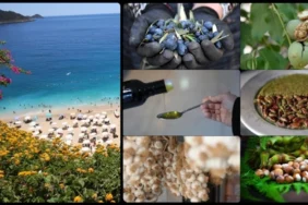 cografi-isaret-basvurusunda-antalya-tescilinde-hatay-zirvede-yer-aldi-123707-20260227.webp.webp