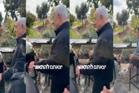 videojpg-4-KifzLtGkWu531jieYB7A.jpg