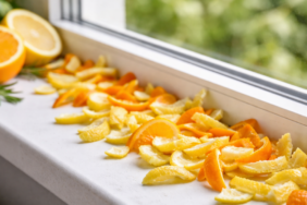 citrus-kabuklari-ve-dogal-isikpng-p18nh54MUUGw3g_Jx3uieA.png