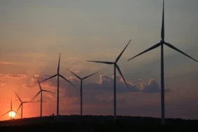 kuresel-yenilenebilir-enerji-kurulu-gucu-2025te-rekor-kirdi-115216-20260401.webp.webp