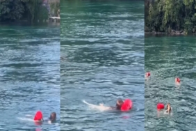 sujpg-eISgOKE9cEyyJ7lGj01ZVg.jpg