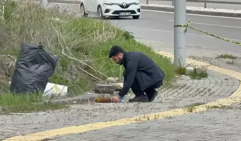 Yol kenarında havan topu mermisi bulundu