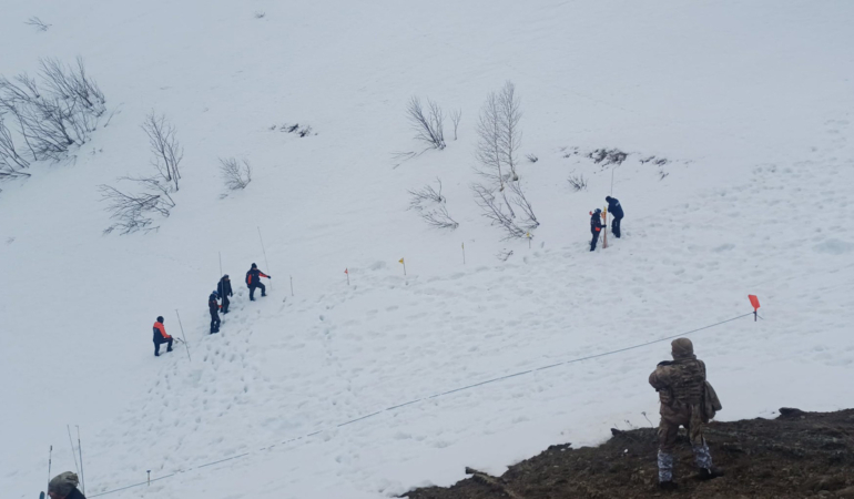 Artvin’de çığ altında kalan çobanı arama çalışmaları sürüyor