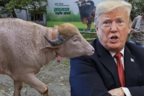 donald-trump-manda-aa-2jpg-ZF4Ar0scY0qVpBigFsd3zg.jpg