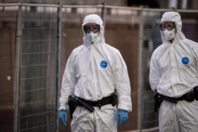 france-confirms-1st-hantavirus-case-linked-to-mv-hondius-outbreak-114154-20260511.webp.webp