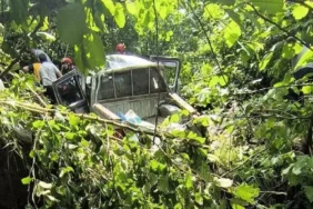 Trabzon'da kamyonet fındık bahçesine yuvarlandı: Ölü ve yaralılar var!