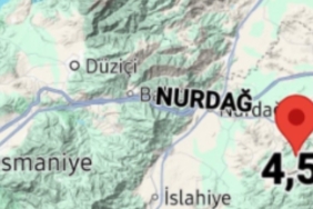 911jpg-N1CIWMeTpEaV07hRf-DJeQ.jpg