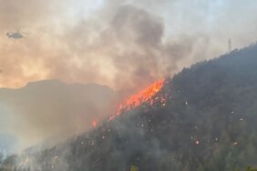 Alanya'daki yangına 95 araç ve 320 personelle müdehale ediliyor