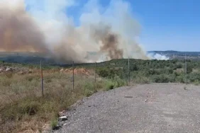 Gebze'de orman yangını