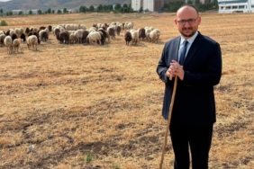 mustafaalicanmus1024x839jpeg-VVDSTqPTGUSpJyJciHKXBA.jpeg
