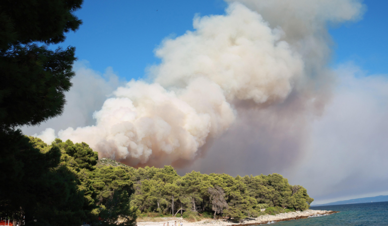 Akdeniz fokur fokur! Artık sıcak değil, çok sıcak bir deniz