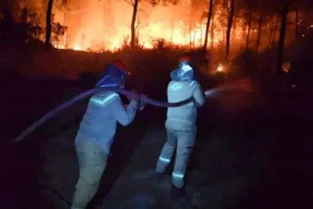 Antalya Aksu'da orman yangını