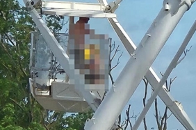 donmedolajpg-JHVN6vDcmEGCLnC8IG4lYA.jpg