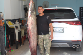 ekran-goruntusu-20260920-115340png-o1PQCPgQ40y9Xwm3tAoNEA.png