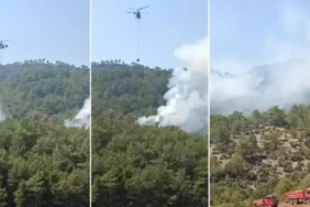 Kozan'da orman yangını