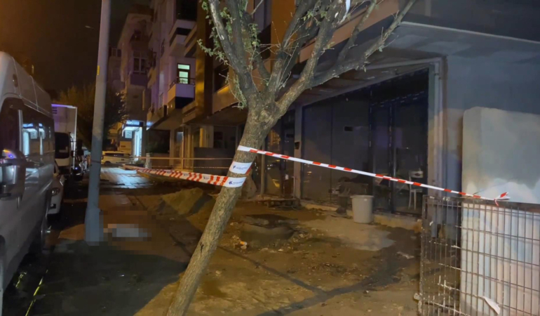 Küçükçekmece’de elektrik akımına kapılan köpek öldü, sahibi yaralandı