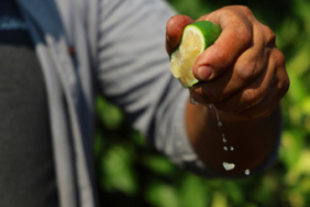 limon-hasadi-basladi-bahcede-kilosu-6-12-liraya-satiliyor-a48g.jpg
